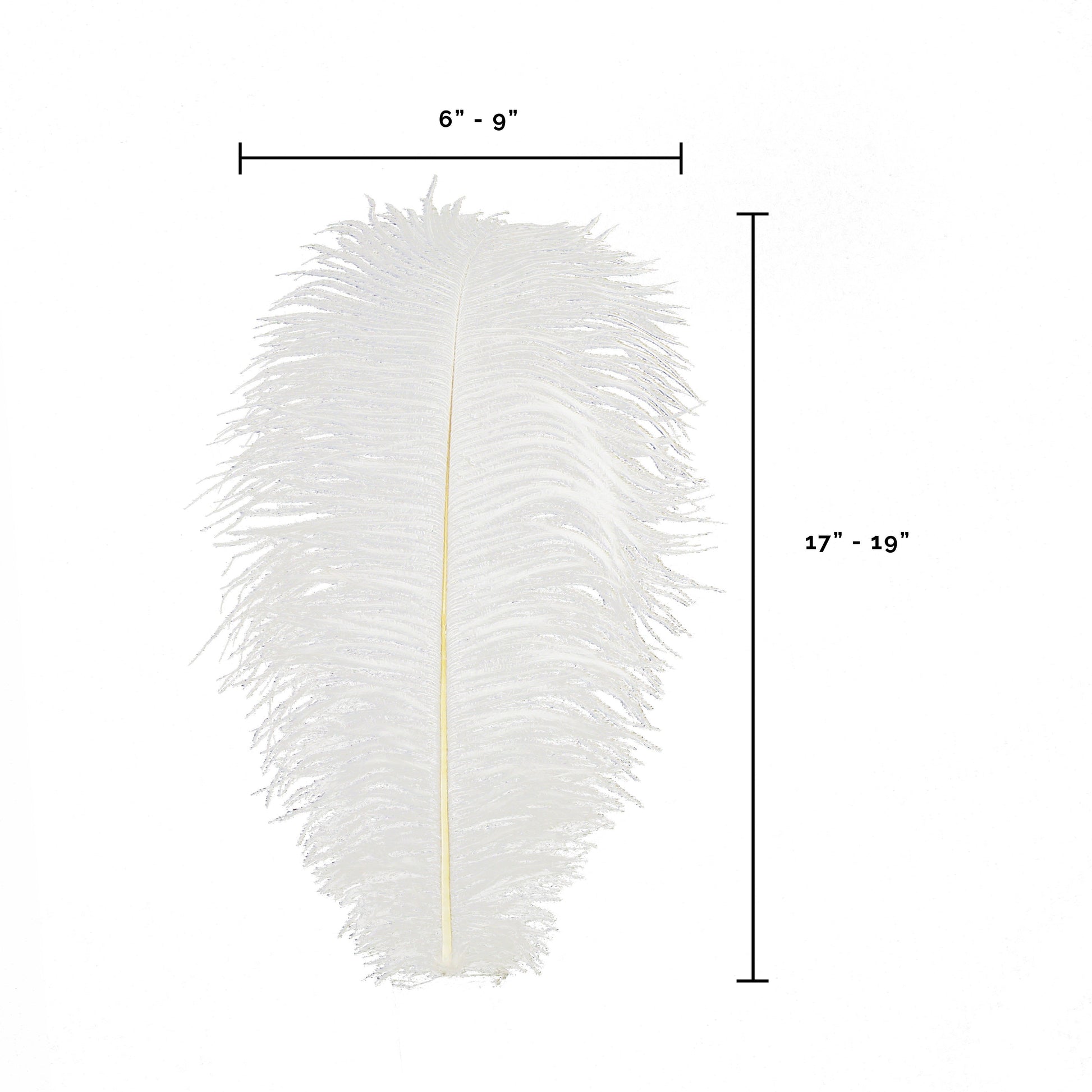 Large Ostrich Feathers - 17’’ + Drabs - White - Ostrich Feathers