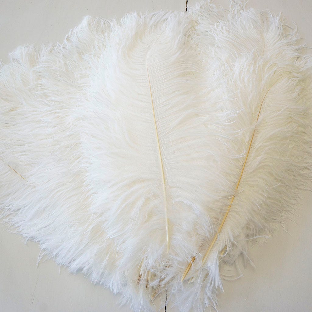 Large Ostrich Feathers - 17’’ + Drabs - White - 12 pieces - Ostrich Feathers