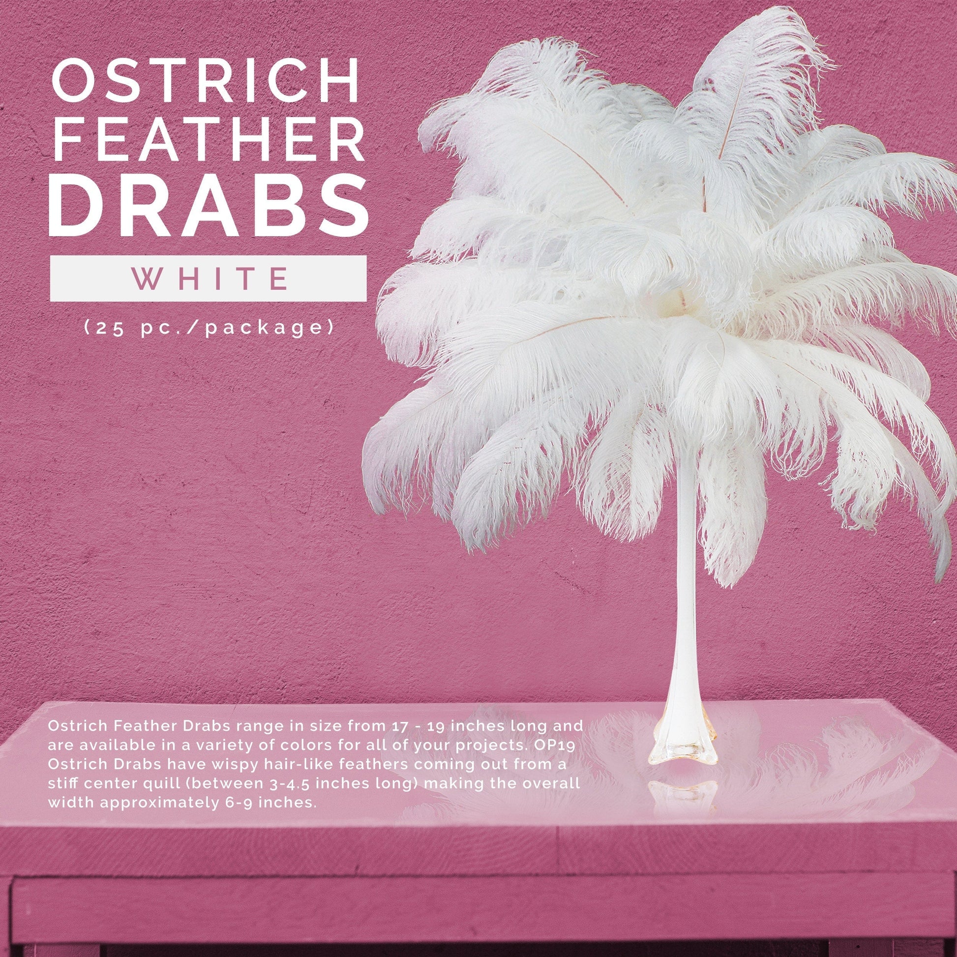 Large Ostrich Feathers - 17’’ + Drabs - White - Ostrich Feathers