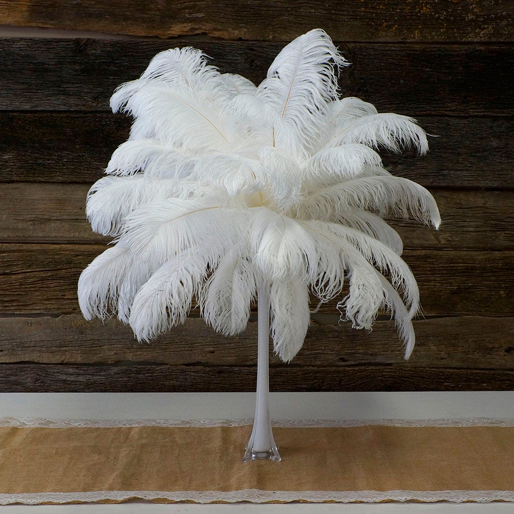 Large Ostrich Feathers - 17’’ + Drabs - White - Ostrich Feathers