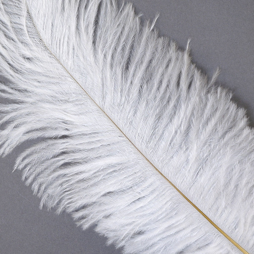 Large Ostrich Feathers - 17’’ + Drabs - White - Ostrich Feathers