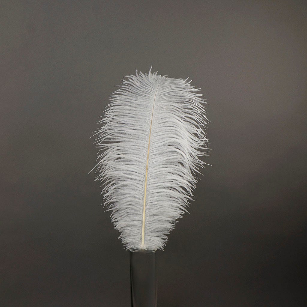 Large Ostrich Feathers - 17’’ + Drabs - White - Ostrich Feathers