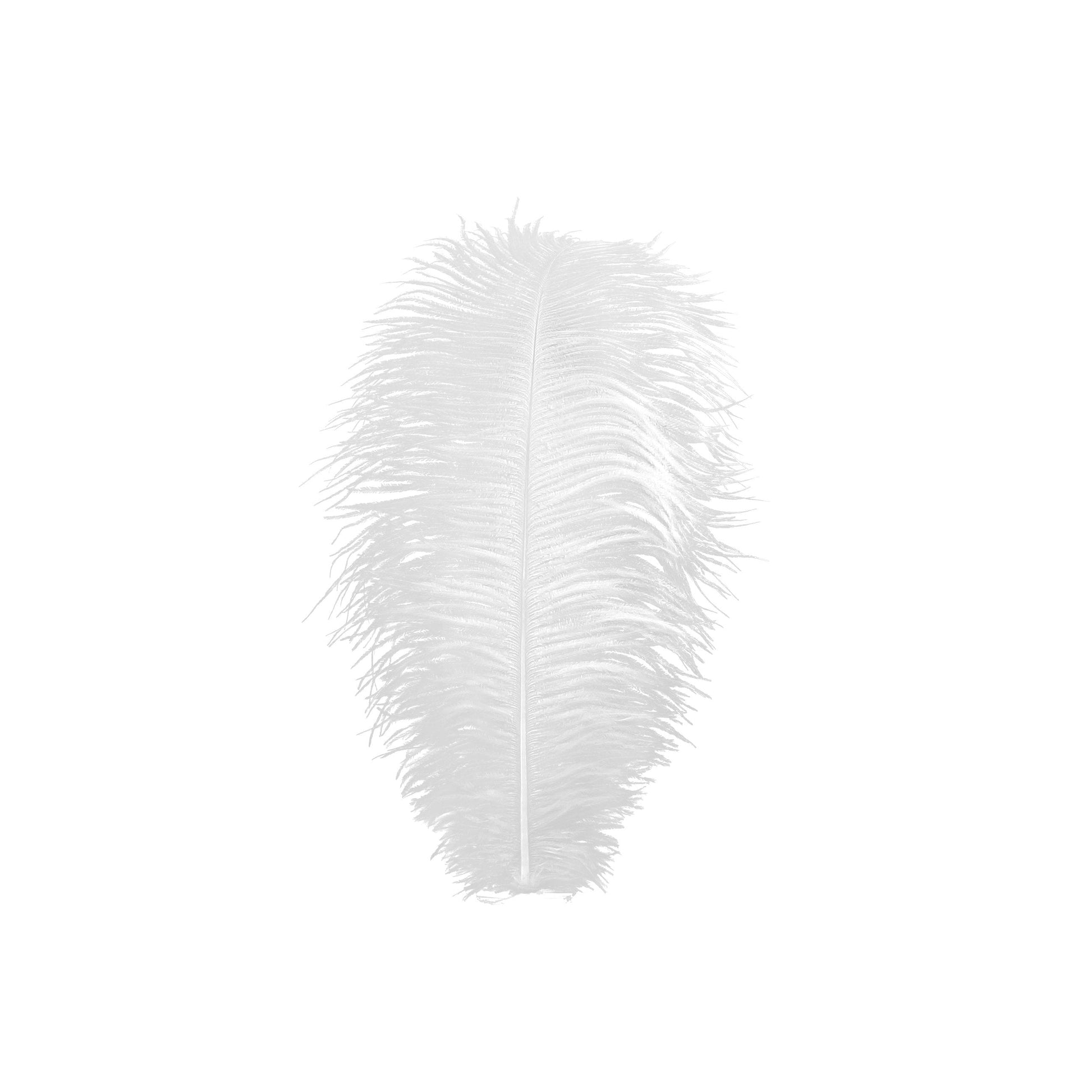 Large Ostrich Feathers - 17’’ + Drabs - White - Ostrich Feathers