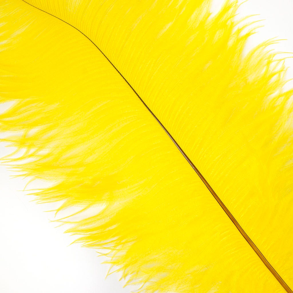 Large Ostrich Feathers - 17’’ + Drabs - Yellow - Ostrich Feathers