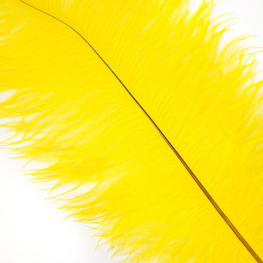 Large Ostrich Feathers - 17’’ + Drabs - Yellow - Ostrich Feathers