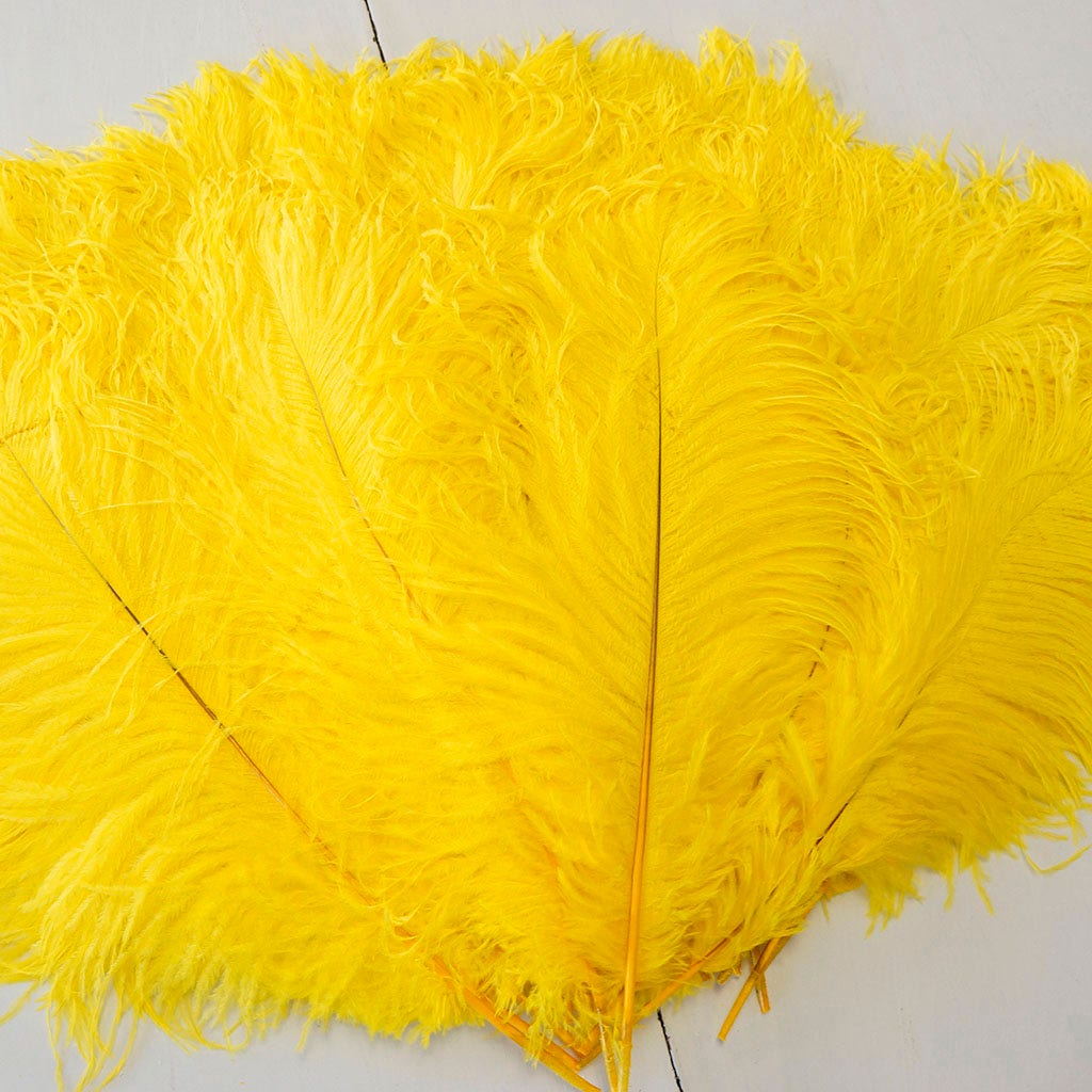 Large Ostrich Feathers - 17’’ + Drabs - Yellow - 12 pieces - Ostrich Feathers