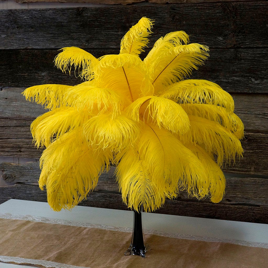 Large Ostrich Feathers - 17’’ + Drabs - Yellow - Ostrich Feathers