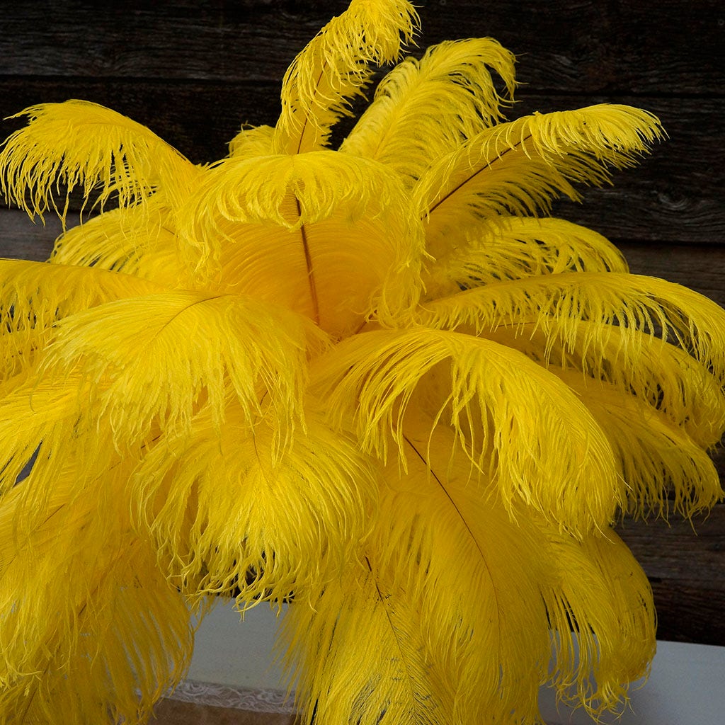 Large Ostrich Feathers - 17’’ + Drabs - Yellow - Ostrich Feathers