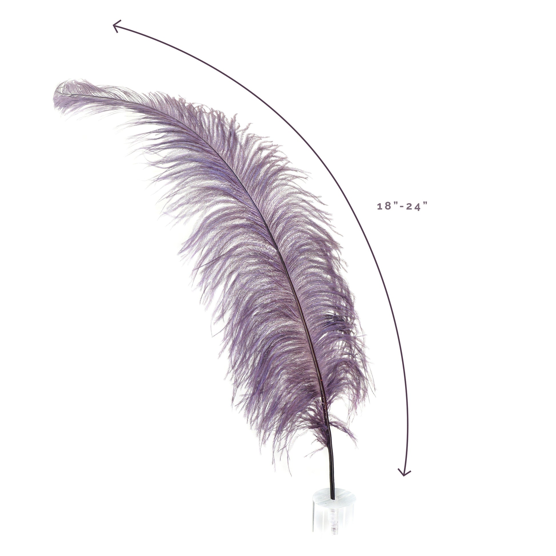 Large Ostrich Feathers - 18-24’’ Spads - Amethyst - Ostrich Feathers