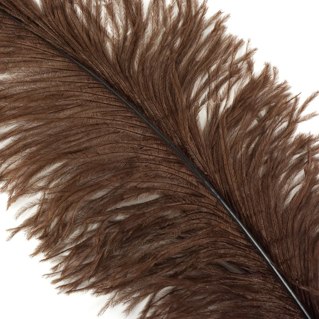 Large Ostrich Feathers - 18-24’’ Spads - Brown - 12 pieces - Ostrich Feathers