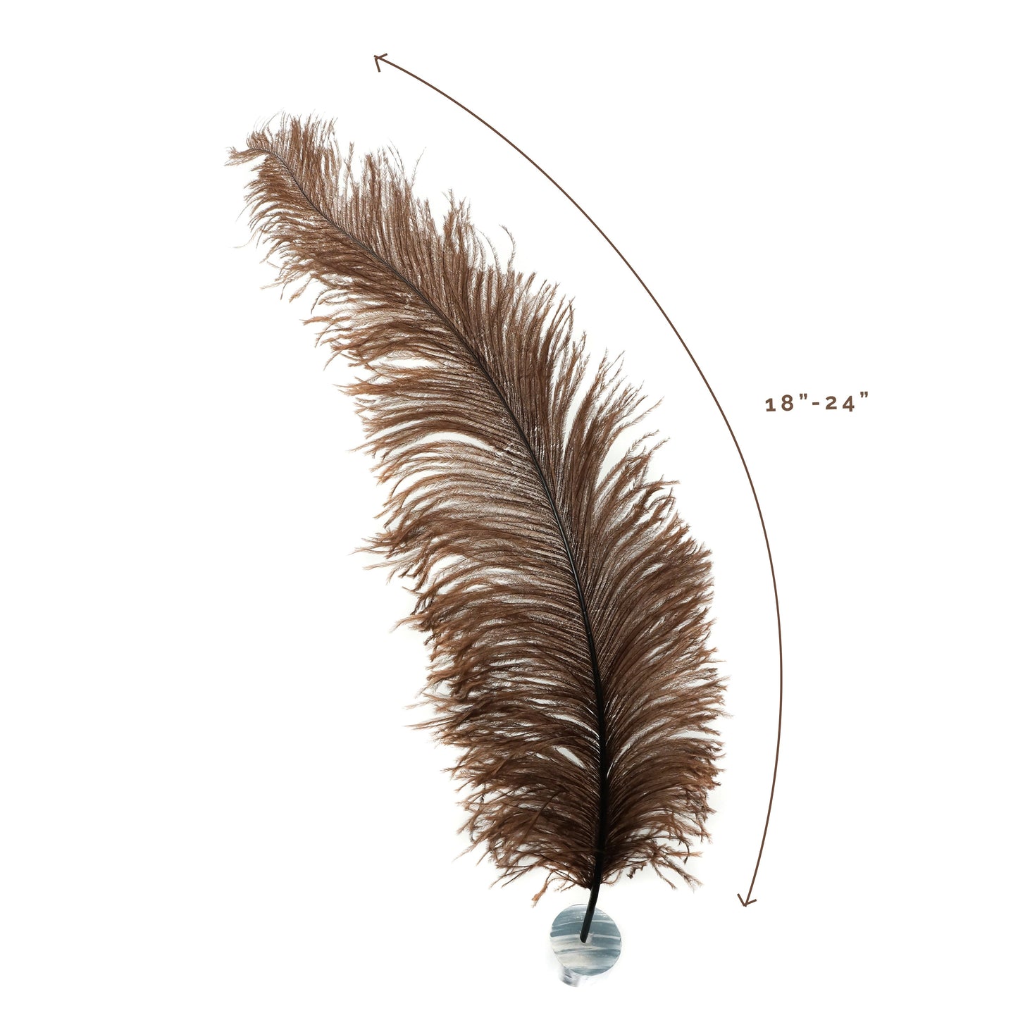 Large Ostrich Feathers - 18-24’’ Spads - Brown - Ostrich Feathers