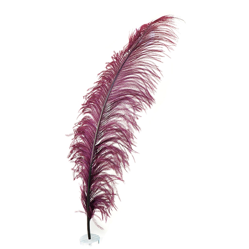 Large Ostrich Feathers - 18-24’’ Spads - Burgundy - 1 piece - Ostrich Feathers