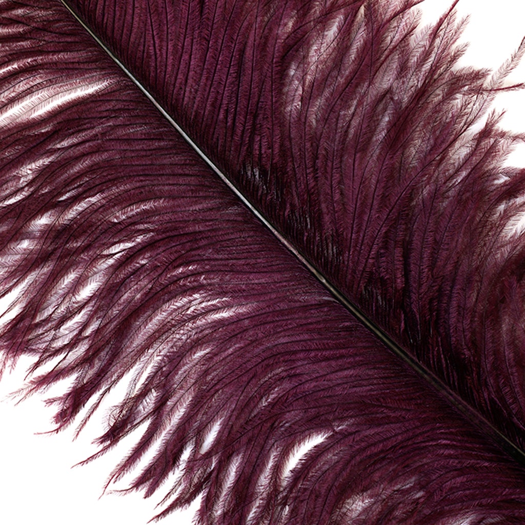 Large Ostrich Feathers - 18-24’’ Spads - Burgundy - 12 pieces - Ostrich Feathers