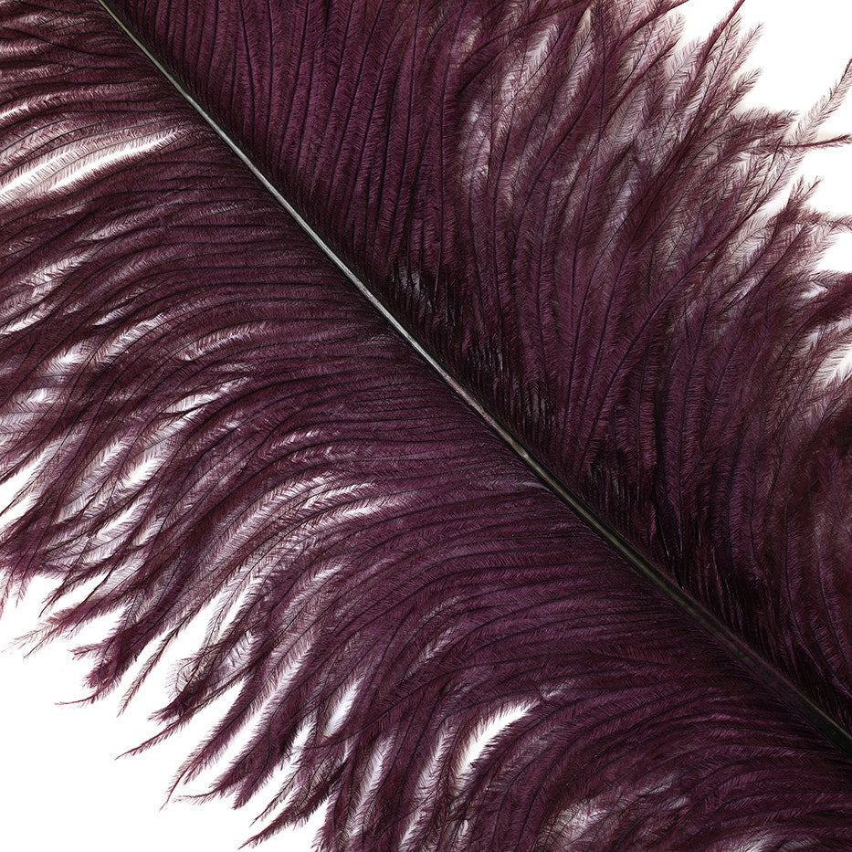 Large Ostrich Feathers - 18-24’’ Spads - Burgundy - Ostrich Feathers