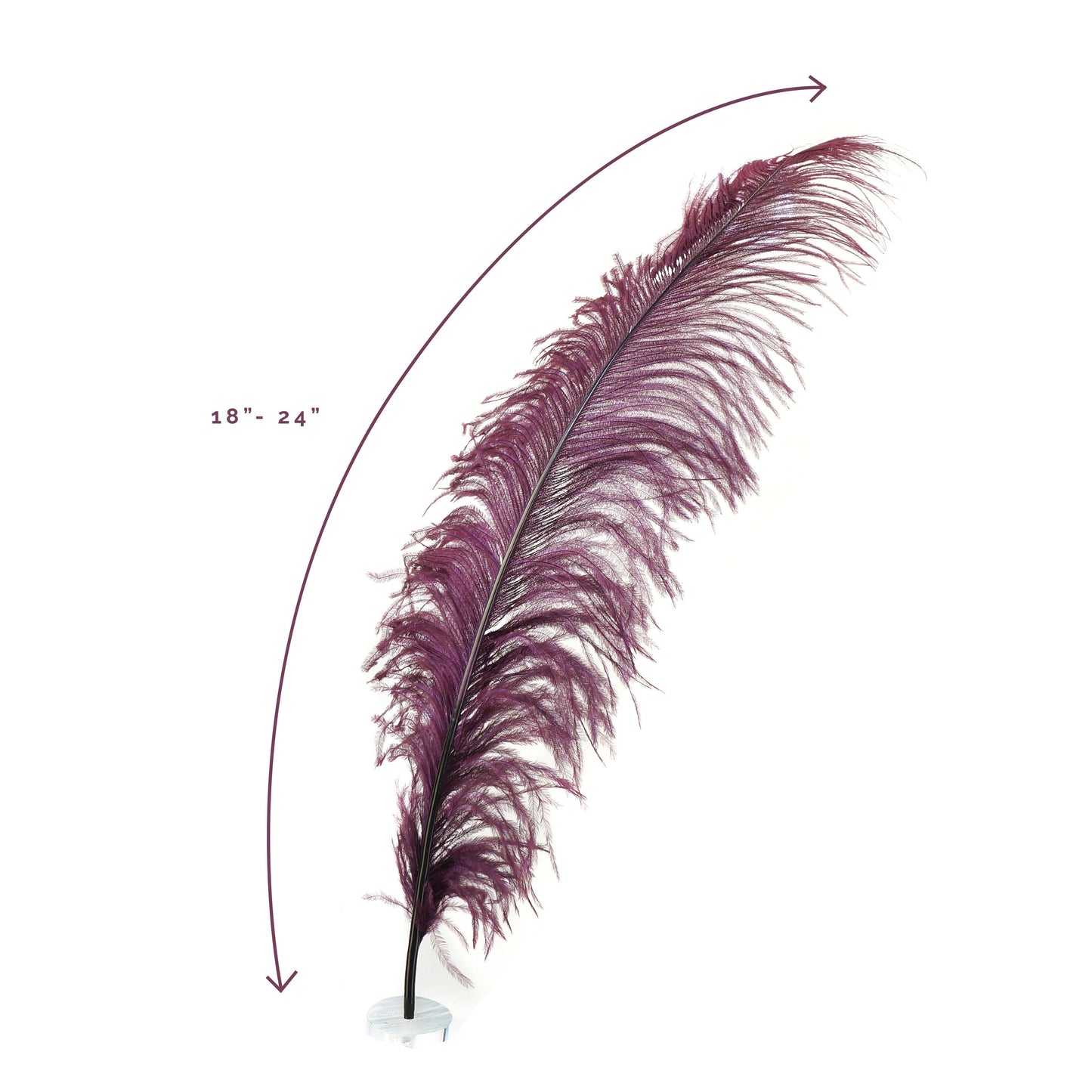 Large Ostrich Feathers - 18-24’’ Spads - Burgundy - Ostrich Feathers