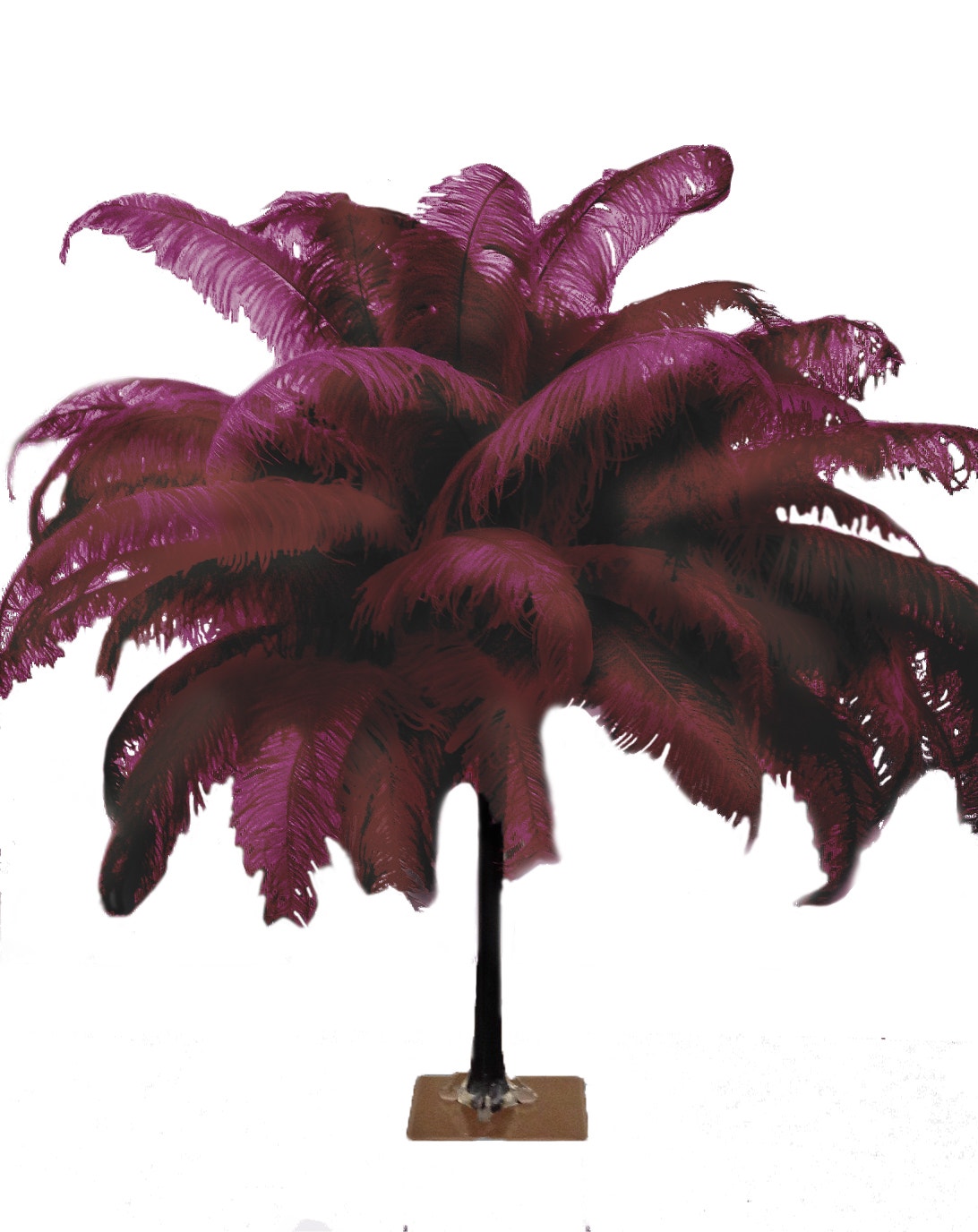 Large Ostrich Feathers - 18-24’’ Spads - Burgundy - Ostrich Feathers