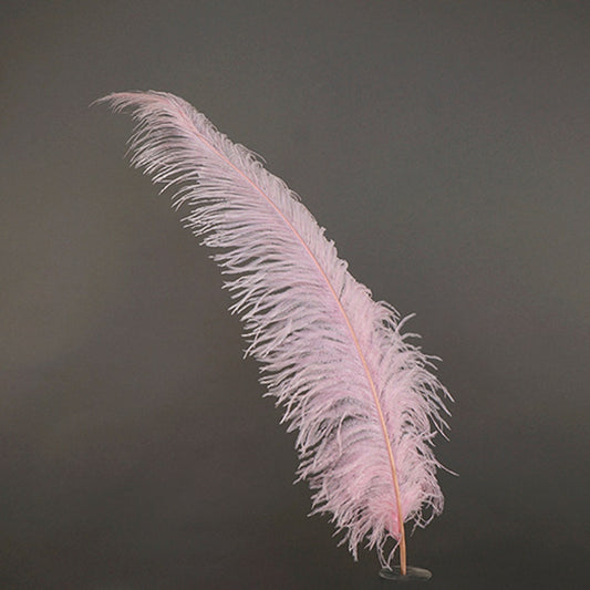 Large Ostrich Feathers - 18-24’’ Spads - Candy Pink - Ostrich Feathers