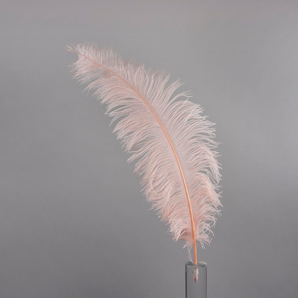 Large Ostrich Feathers - 18-24’’ Spads - Champagne - 1 piece - Ostrich Feathers