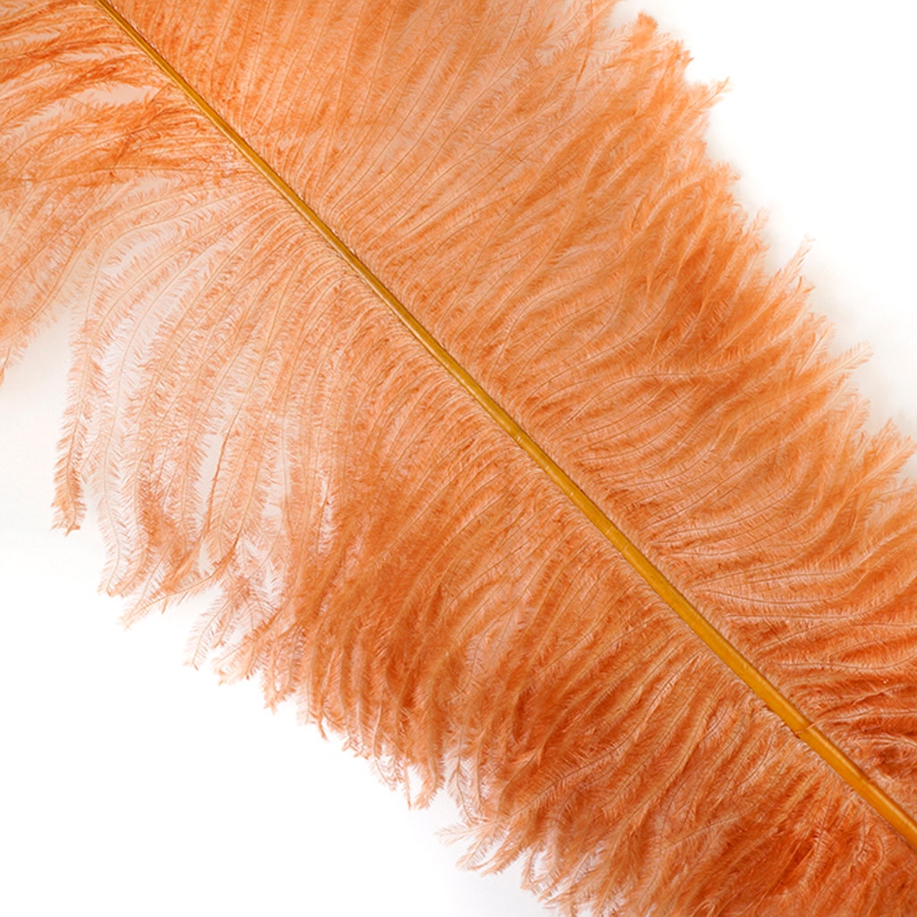 Large Ostrich Feathers - 18-24’’ Spads - Cinnamon - 12 pieces - Ostrich Feathers