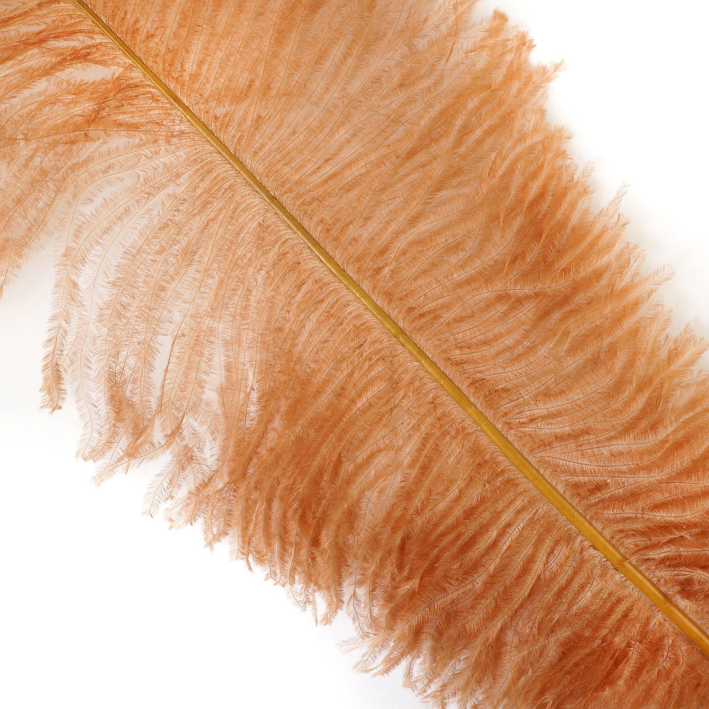 Large Ostrich Feathers - 18-24’’ Spads - Cinnamon - Ostrich Feathers