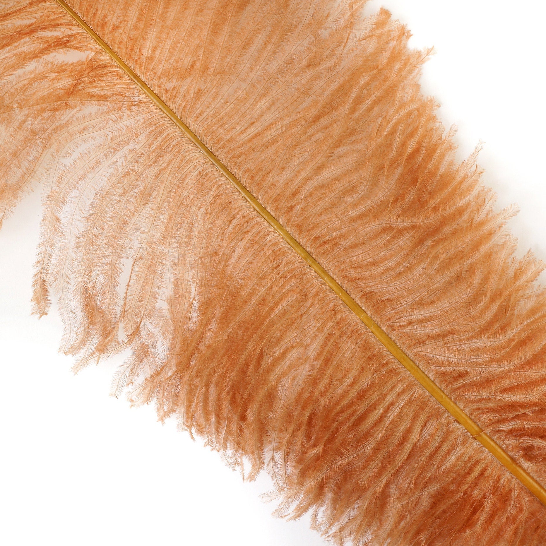 Large Ostrich Feathers - 18-24’’ Spads - Cinnamon - Ostrich Feathers