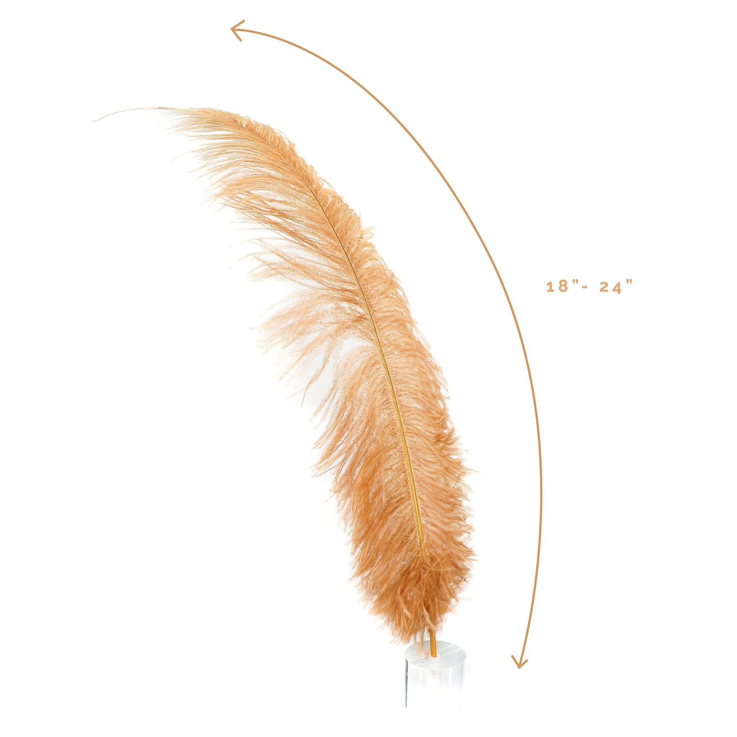 Large Ostrich Feathers - 18-24’’ Spads - Cinnamon - Ostrich Feathers