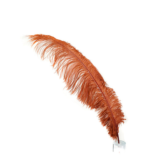 Large Ostrich Feathers - 18-24’’ Spads - Copper - Ostrich Feathers