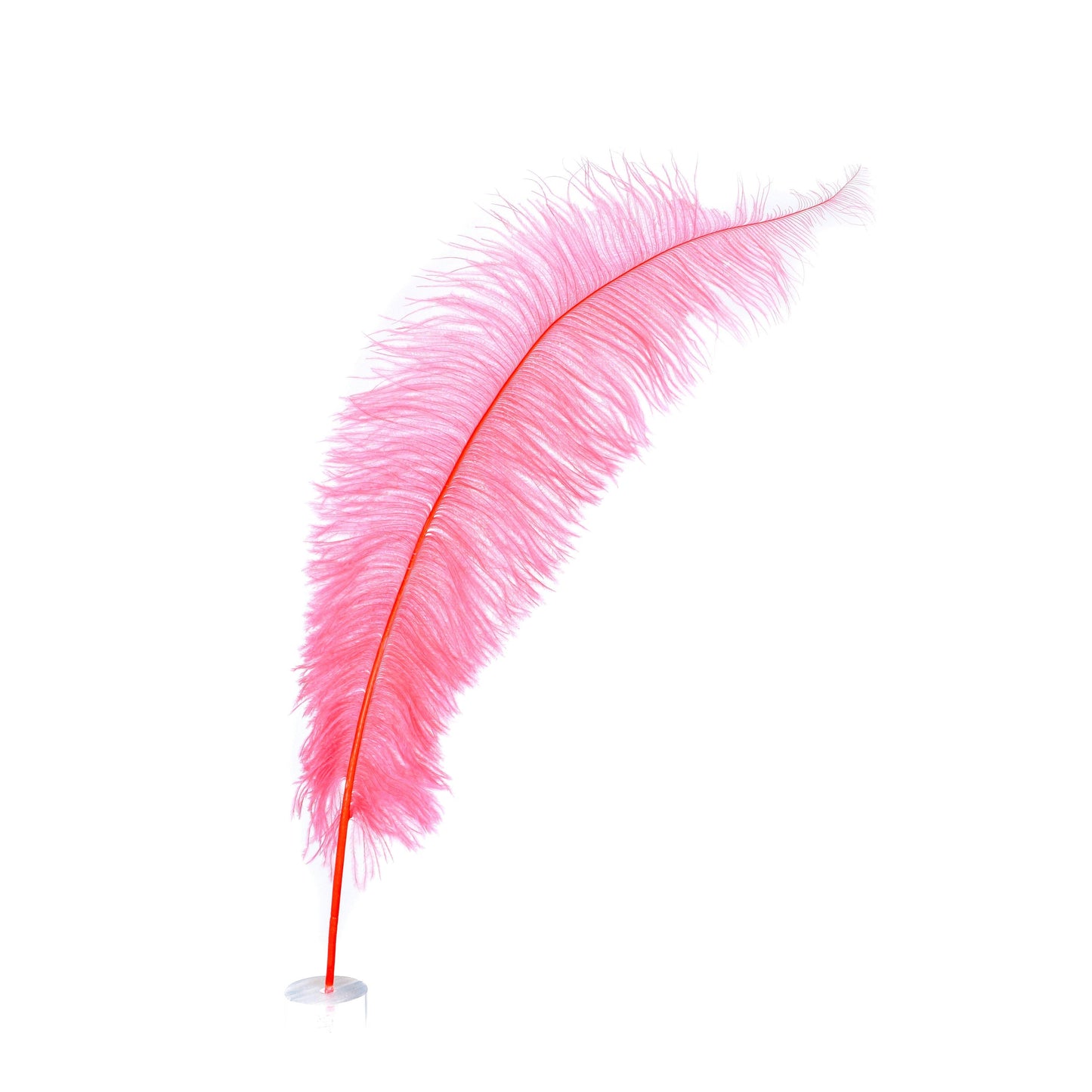 Large Ostrich Feathers - 18-24’’ Spads - Coral - 1 piece - Ostrich Feathers