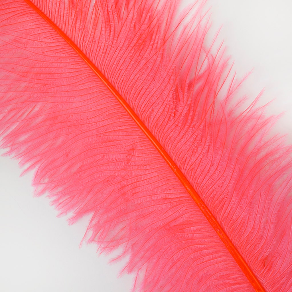 Large Ostrich Feathers - 18-24’’ Spads - Coral - 12 pieces - Ostrich Feathers