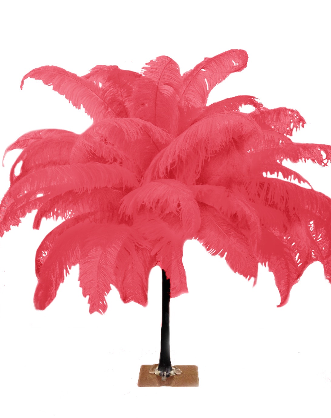 Large Ostrich Feathers - 18-24’’ Spads - Coral - Ostrich Feathers