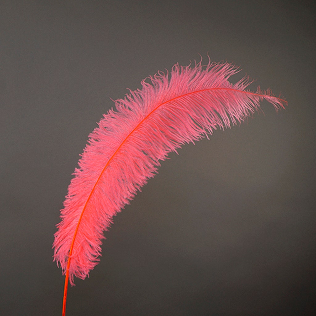 Large Ostrich Feathers - 18-24’’ Spads - Coral - Ostrich Feathers