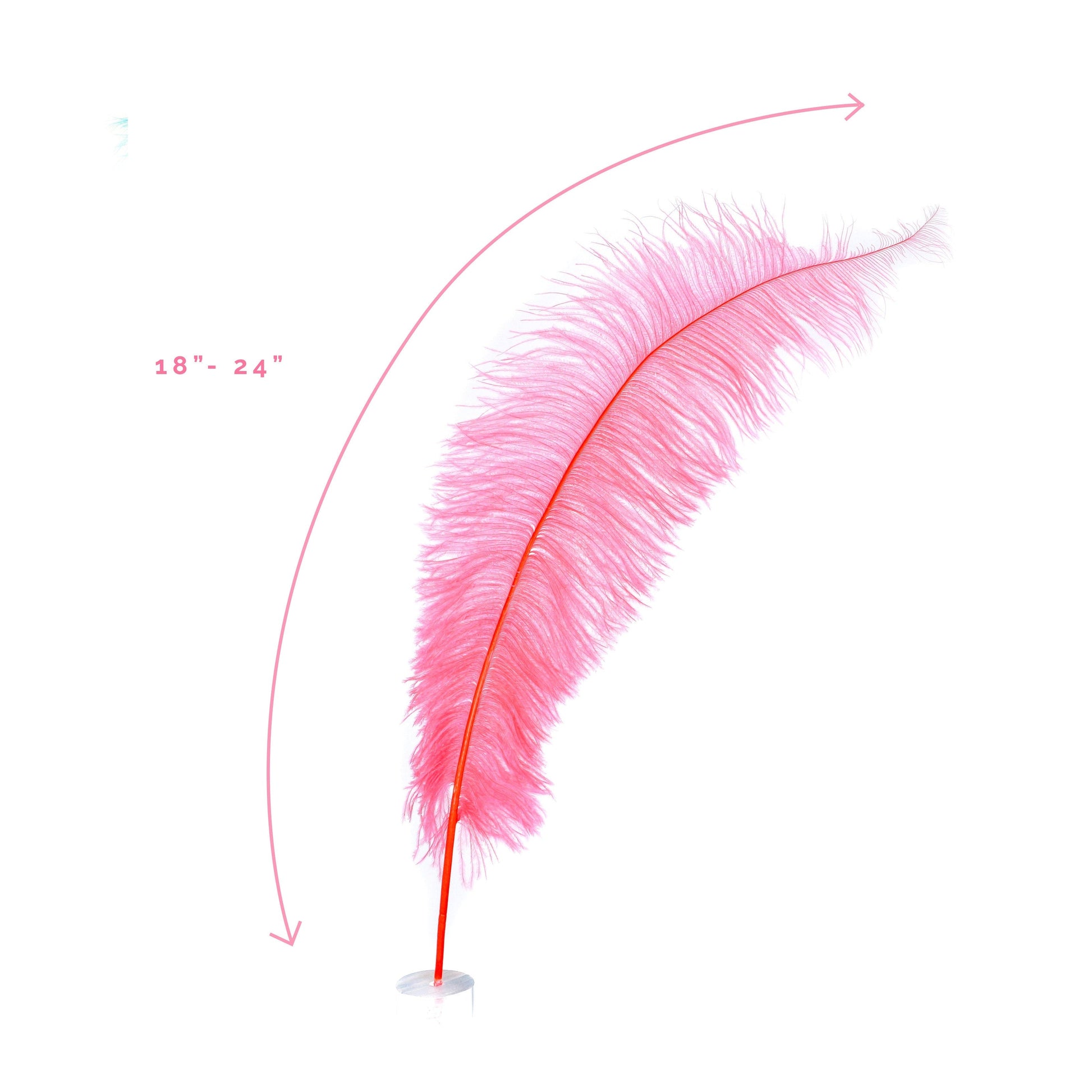 Large Ostrich Feathers - 18-24’’ Spads - Coral - Ostrich Feathers