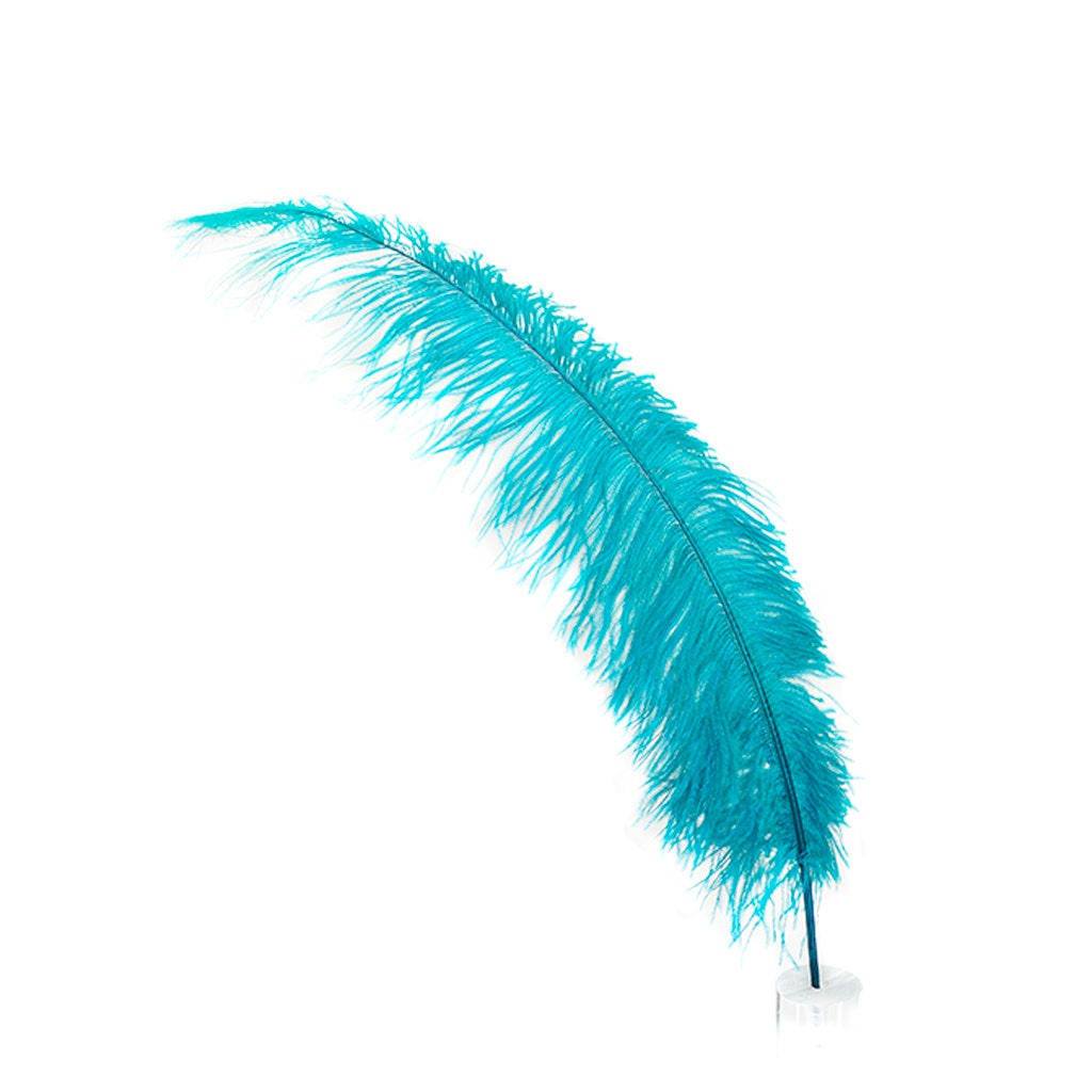 Large Ostrich Feathers - 18-24’’ Spads - Dark Aqua - 1 piece - Ostrich Feathers