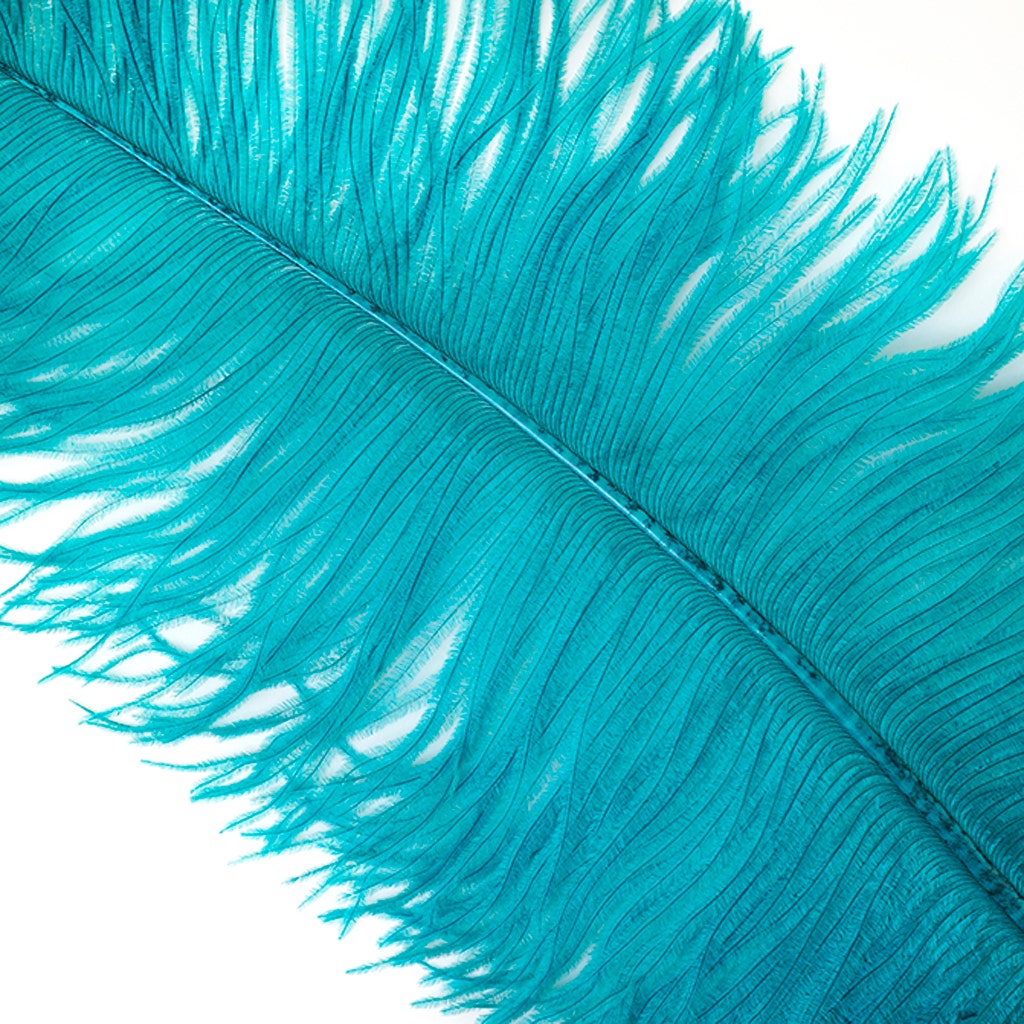 Large Ostrich Feathers - 18-24’’ Spads - Dark Aqua - 12 pieces - Ostrich Feathers