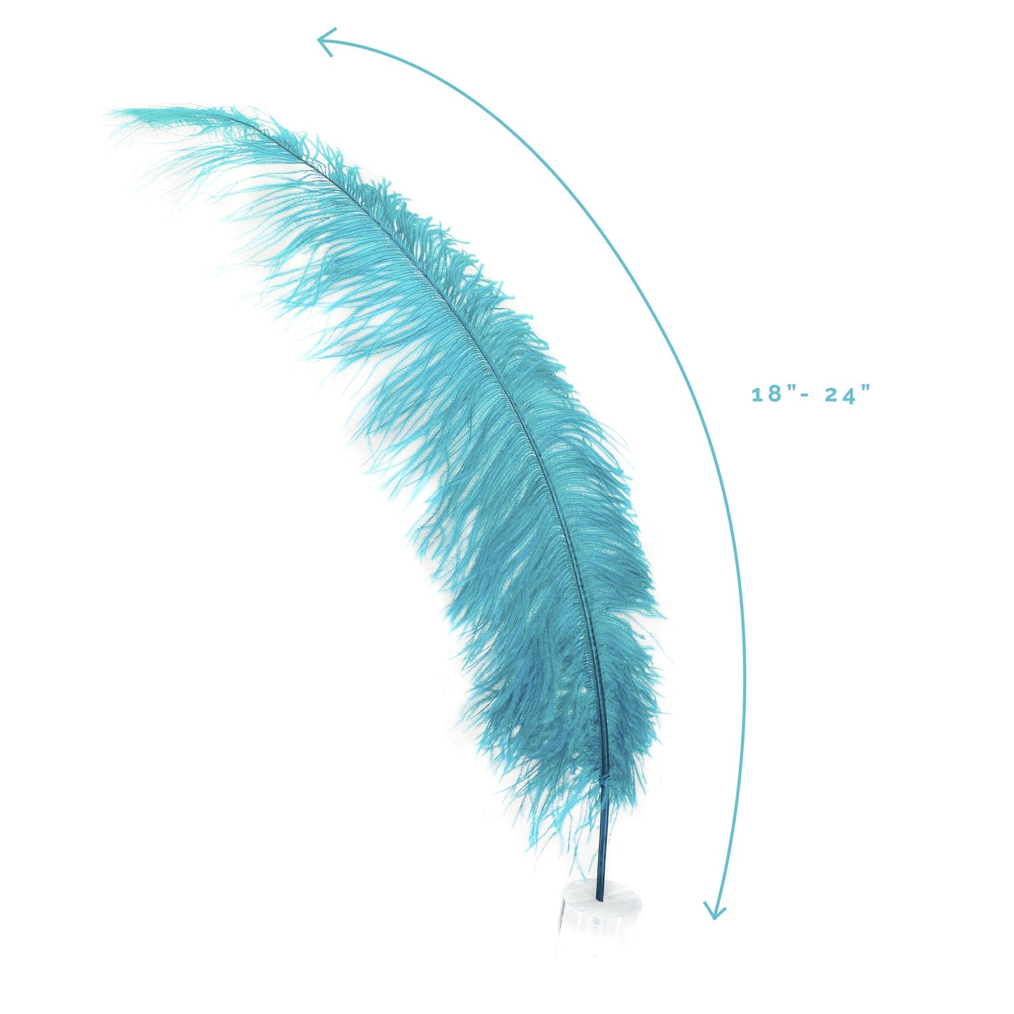 Large Ostrich Feathers - 18-24’’ Spads - Dark Aqua - Ostrich Feathers