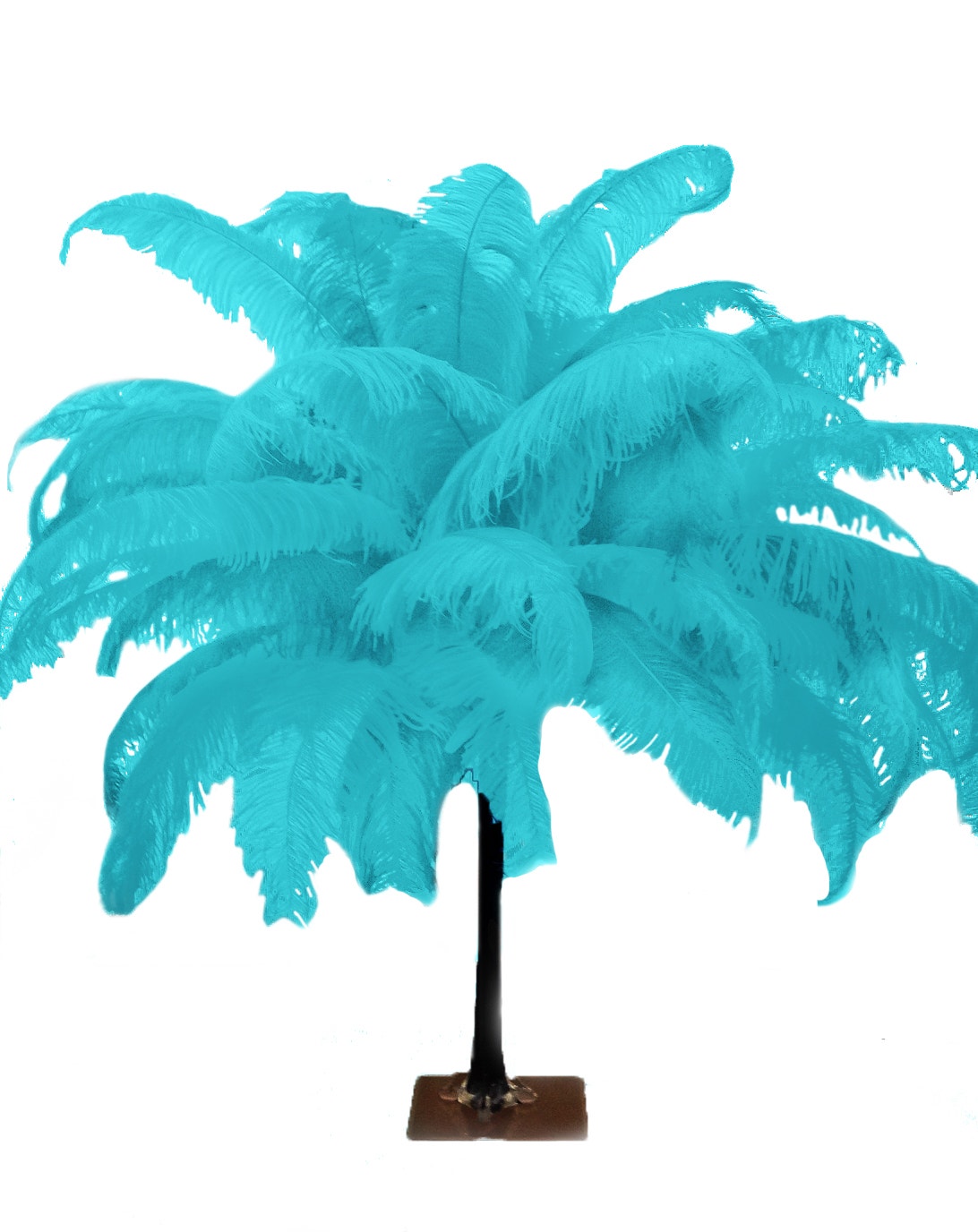 Large Ostrich Feathers - 18-24’’ Spads - Dark Aqua - Ostrich Feathers