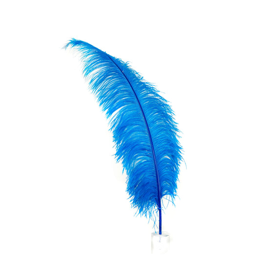 Large Ostrich Feathers - 18-24’’ Spads - Dark Turquoise - Ostrich Feathers