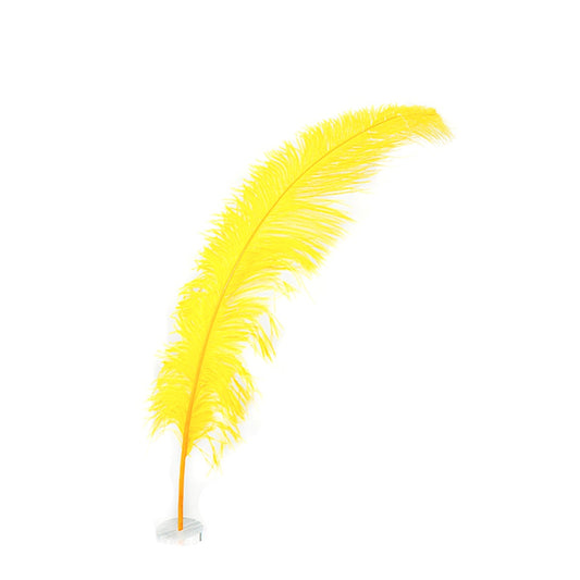 Large Ostrich Feathers - 18-24’’ Spads - Gold Ostrich Feathers - Ostrich Feathers