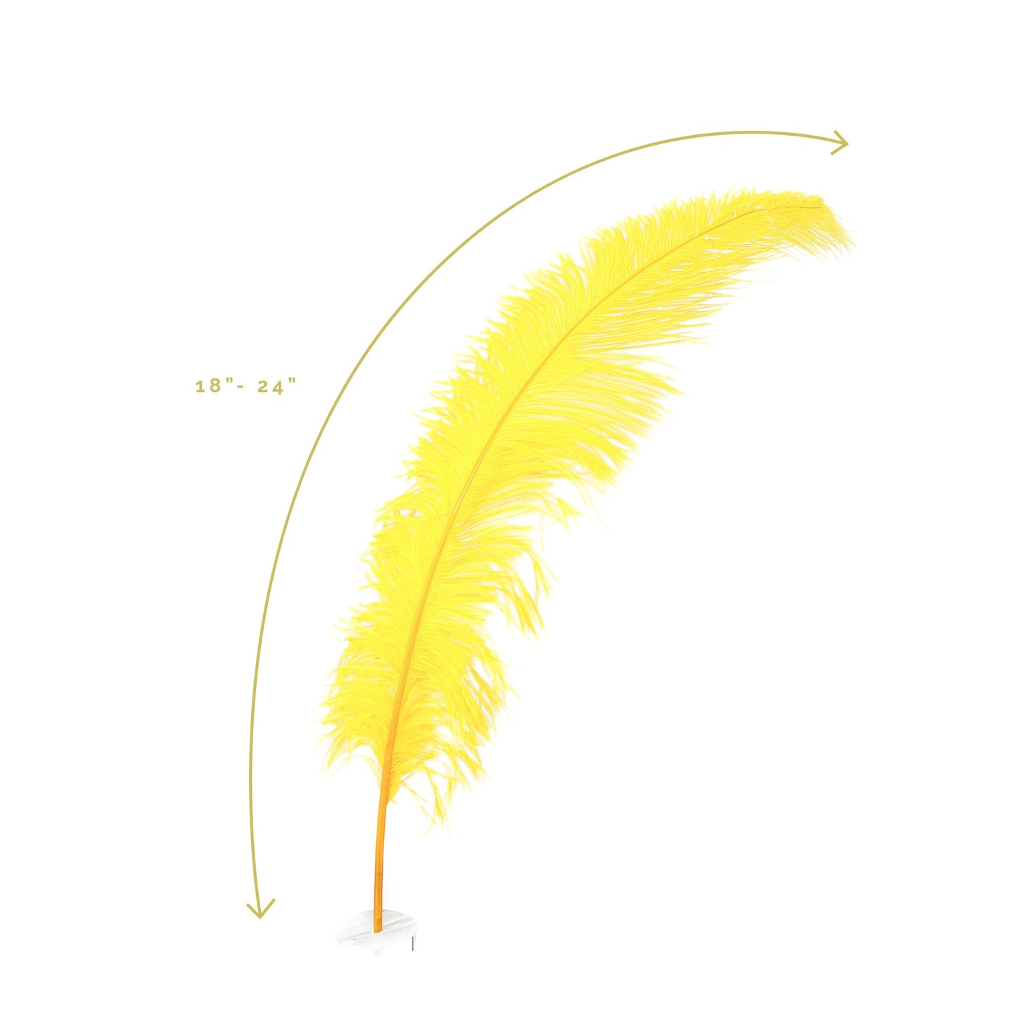 Large Ostrich Feathers - 18-24’’ Spads - Gold Ostrich Feathers - Ostrich Feathers