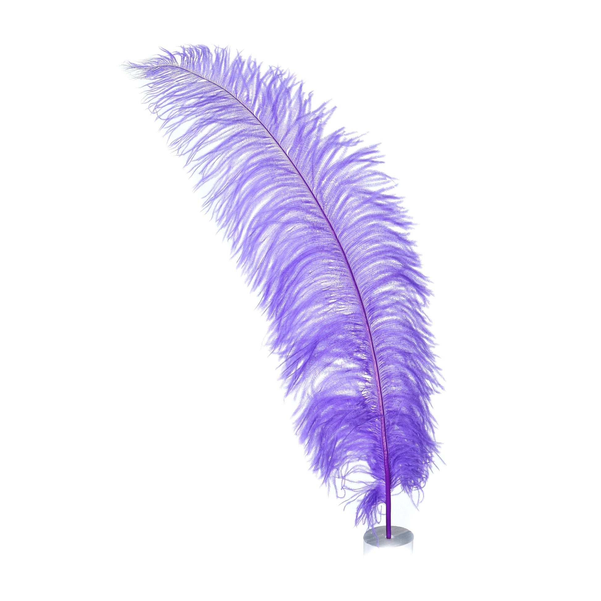 Large Ostrich Feathers - 18-24’’ Spads - Lavender - 1 piece - Ostrich Feathers