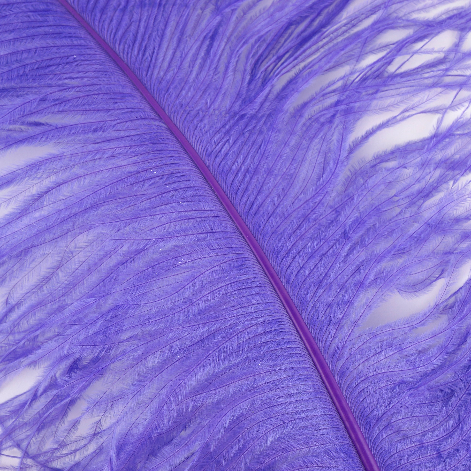 Large Ostrich Feathers - 18-24’’ Spads - Lavender - 12 pieces - Ostrich Feathers