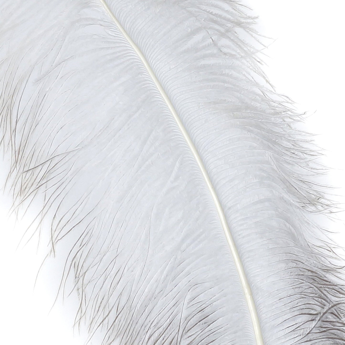 Large Ostrich Feathers - 18-24’’ Spads - Natural - 12 pieces - Ostrich Feathers