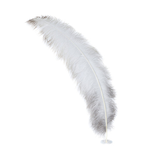 Large Ostrich Feathers - 18-24’’ Spads - Natural - Ostrich Feathers