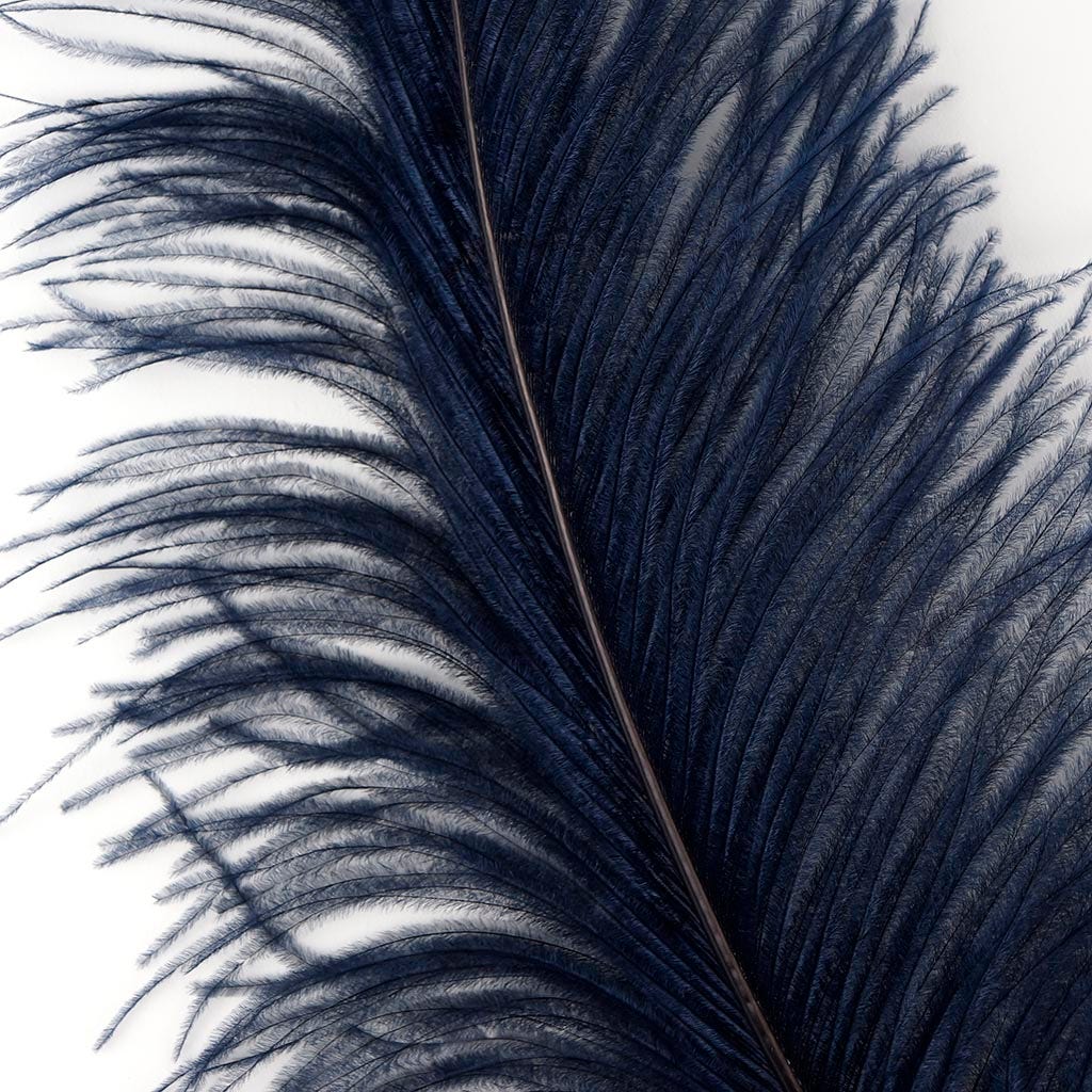 Large Ostrich Feathers - 18-24’’ Spads - Navy - 12 pieces - Ostrich Feathers