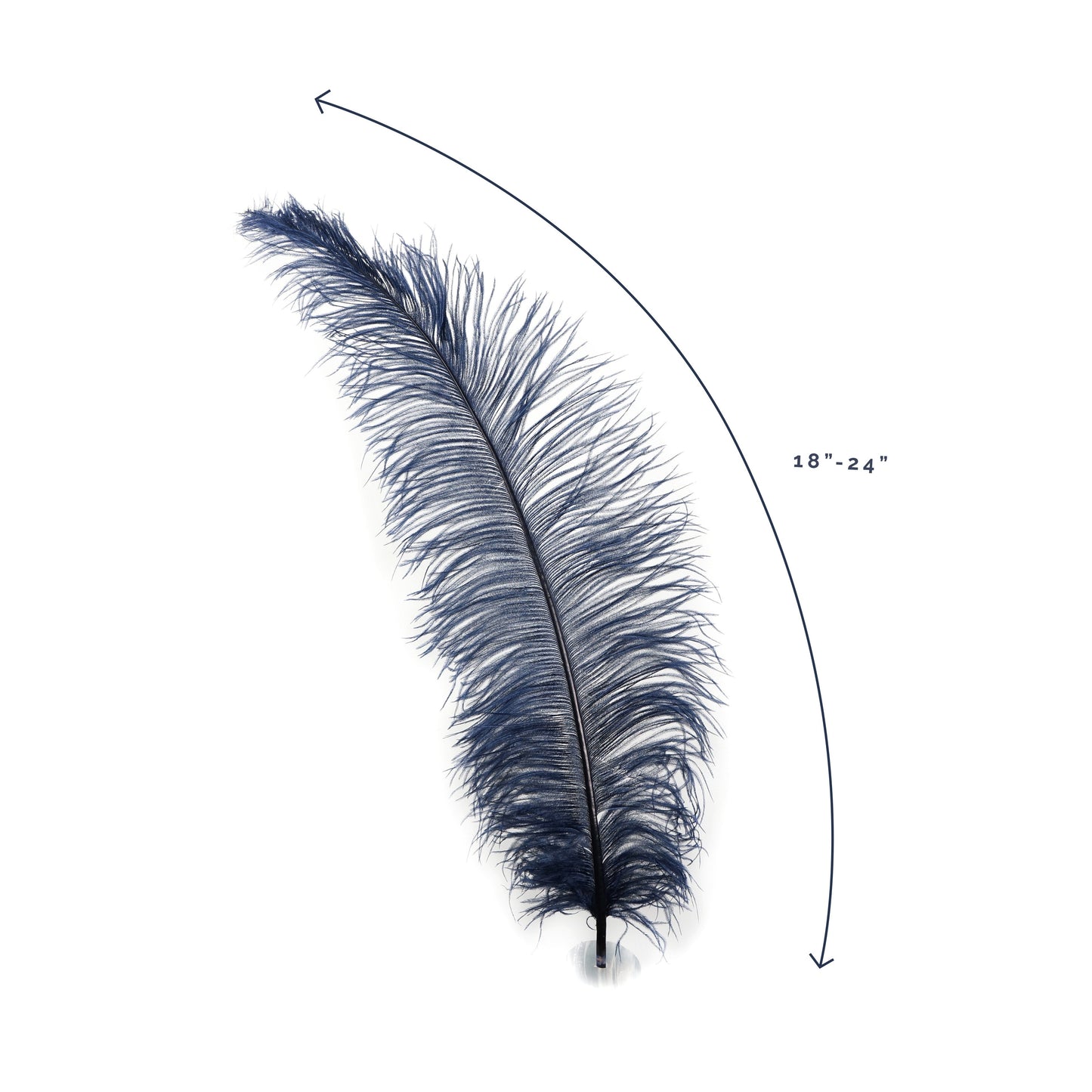 Large Ostrich Feathers - 18-24’’ Spads - Navy - Ostrich Feathers