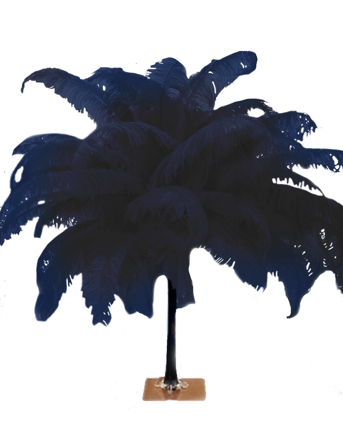 Large Ostrich Feathers - 18-24’’ Spads - Navy - Ostrich Feathers