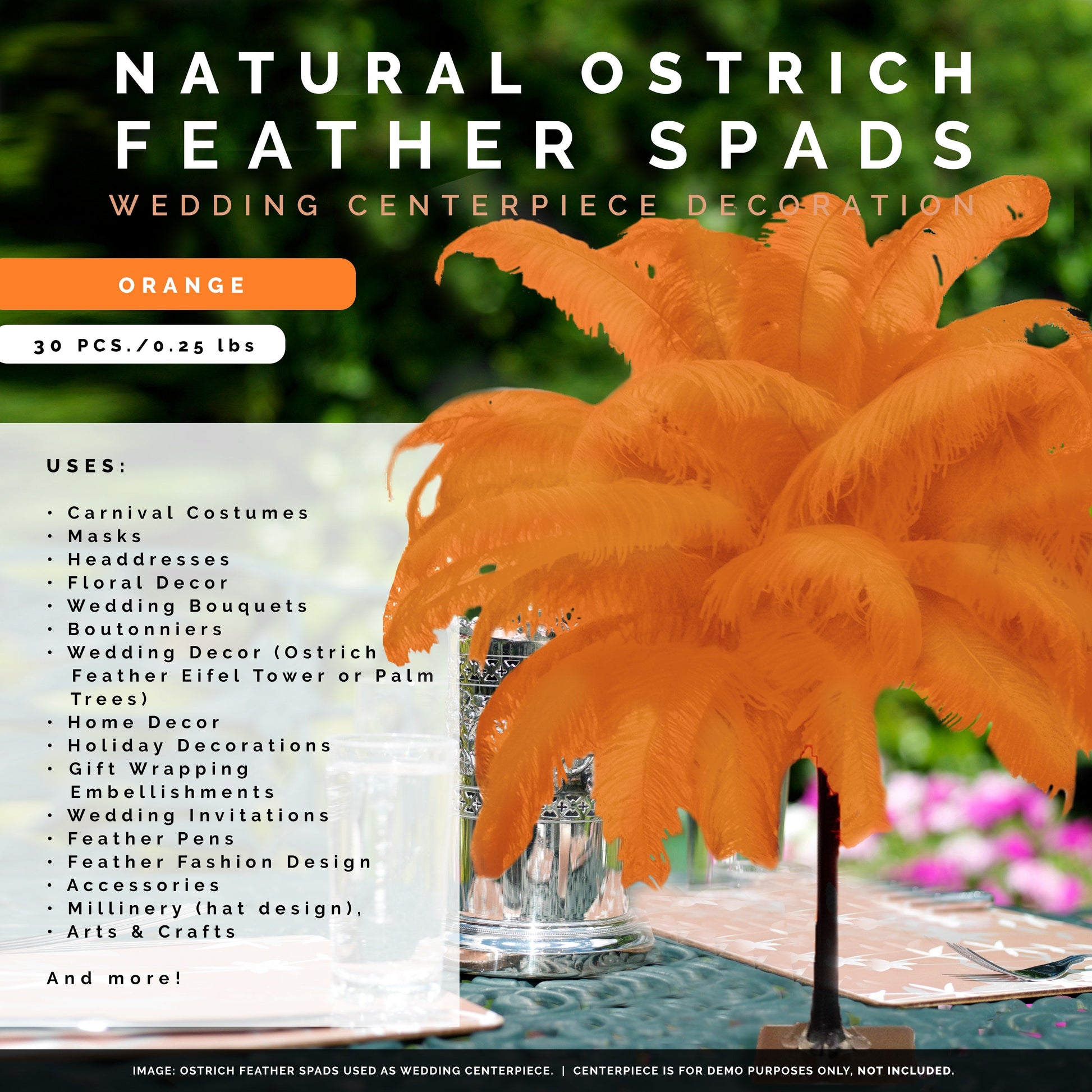 Large Ostrich Feathers - 18-24’’ Spads - Orange - Ostrich Feathers