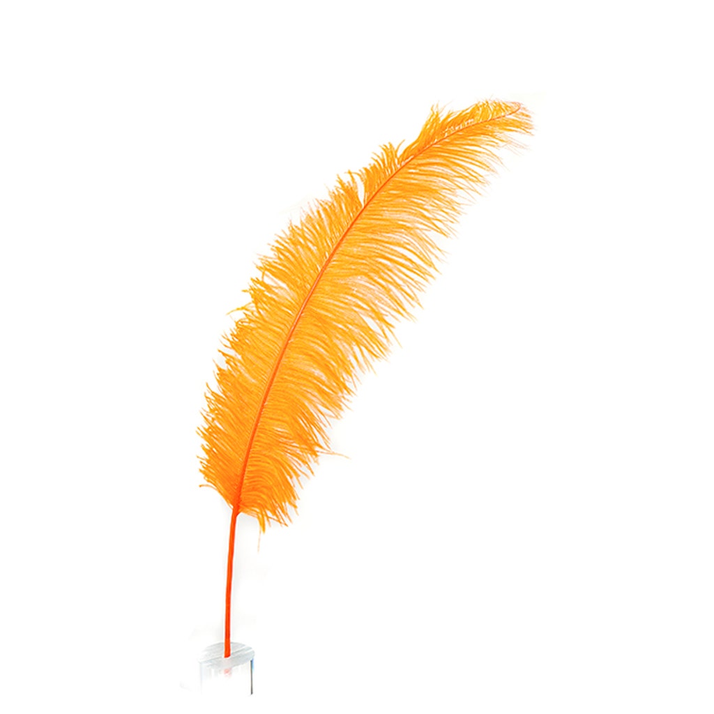 Large Ostrich Feathers - 18-24’’ Spads - Orange - Ostrich Feathers