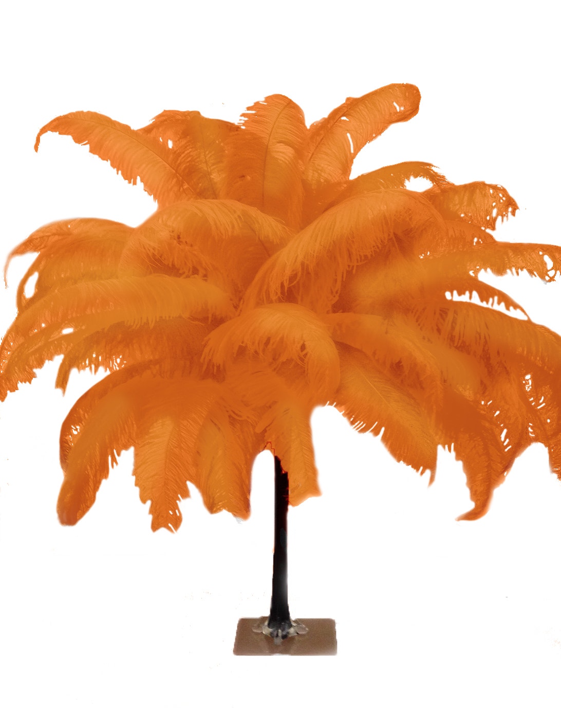 Large Ostrich Feathers - 18-24’’ Spads - Orange - Ostrich Feathers