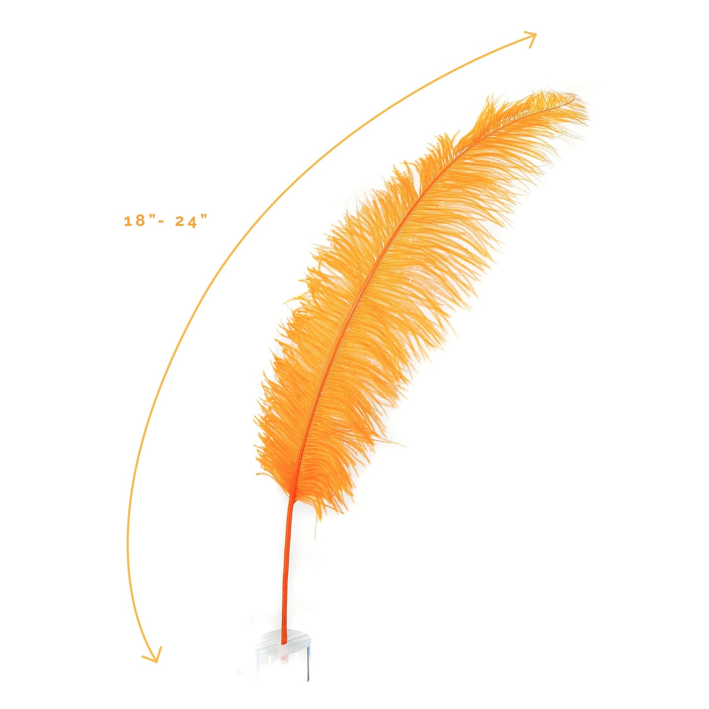 Large Ostrich Feathers - 18-24’’ Spads - Orange - Ostrich Feathers